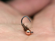 Load image into Gallery viewer, Squirrel Walts