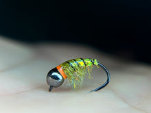 Load image into Gallery viewer, Glassback Scud/ Caddis (highly fluorescent)