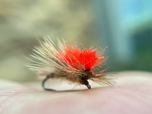 Load image into Gallery viewer, 20/20 Caddis (Duo & Std.)