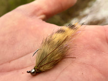 Load image into Gallery viewer, Jig Rubber Leg Sculpin(Mult. Colours)