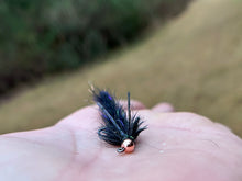 Load image into Gallery viewer, The Cdc (Big) Bug