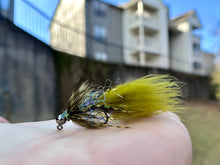 Load image into Gallery viewer, Rubber Leg Chenille Bugger