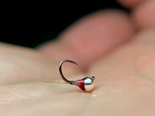 Load image into Gallery viewer, Egan's Rainbow Warrior Perdigon