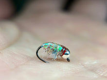 Load image into Gallery viewer, Glassback Scud/ Caddis (highly fluorescent)