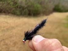 Load image into Gallery viewer, The Cdc (Big) Bug