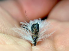 Load image into Gallery viewer, F(B Eye) Fly