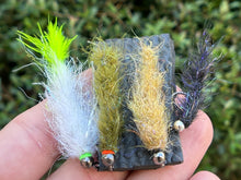 Load image into Gallery viewer, Cdc Bug 4 pack (limited avail.)