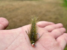 Load image into Gallery viewer, The Cdc (Big) Bug