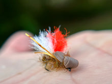 Load image into Gallery viewer, Bloodshot Hopper('duo' and std.)