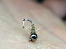 Load image into Gallery viewer, Squirrel Walts