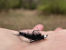 Load image into Gallery viewer, The Cdc Bug