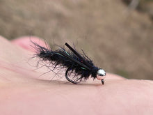 Load image into Gallery viewer, The Cdc Bug