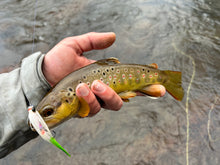 Load image into Gallery viewer, Schmidt’s Double Deceiver-Mini(multiple colors)