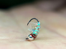 Load image into Gallery viewer, Glassback Scud/ Caddis (highly fluorescent)