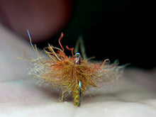 Load image into Gallery viewer, Drop Top Caddis