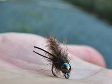 Load image into Gallery viewer, The Cdc Bug