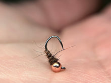 Load image into Gallery viewer, Squirrel Walts