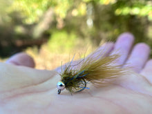 Load image into Gallery viewer, CDC Jig Leech(formerly known as "Bugger")