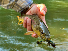 Load image into Gallery viewer, Bedhead Sculpin