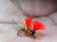 Load image into Gallery viewer, 20/20 Caddis (Duo & Std.)