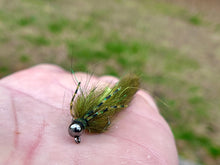 Load image into Gallery viewer, The Cdc (Big) Bug