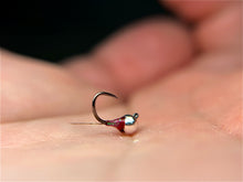 Load image into Gallery viewer, Egan's Rainbow Warrior Perdigon