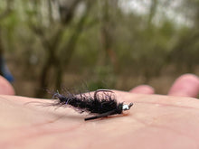 Load image into Gallery viewer, The Cdc Bug