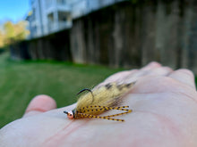 Load image into Gallery viewer, Jig Rubber Leg Sculpin(Mult. Colours)