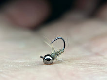 Load image into Gallery viewer, Squirrel Walts