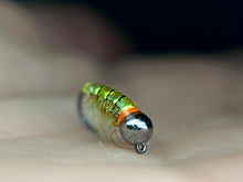 Load image into Gallery viewer, Glassback Scud/ Caddis (highly fluorescent)