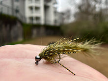 Load image into Gallery viewer, The Cdc (Big) Bug