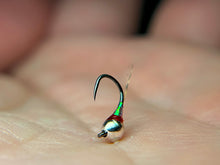 Load image into Gallery viewer, Egan's Rainbow Warrior Perdigon