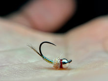 Load image into Gallery viewer, Egan’s Rainbow Warrior