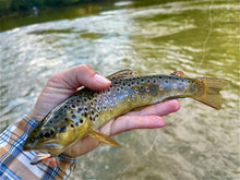 Load image into Gallery viewer, 20/20 Caddis