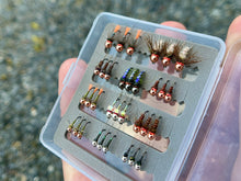 Load image into Gallery viewer, Mini Box-Standard(nymphs)