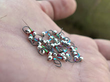 Load image into Gallery viewer, Egan's Rainbow Warrior Perdigon