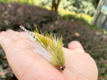 Load image into Gallery viewer, Bedhead Sculpin(mult. varieties)