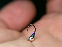 Load image into Gallery viewer, Blue and Peacock Perdigon