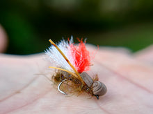 Load image into Gallery viewer, Bloodshot Hopper('duo' and std.)