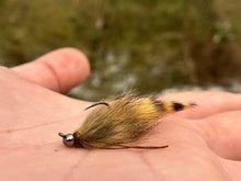 Load image into Gallery viewer, Jig Rubber Leg Sculpin(Mult. Colours)