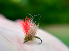 Load image into Gallery viewer, Drop Top Caddis (Duo Loop & Std.)