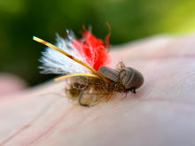 Load image into Gallery viewer, Bloodshot Hopper('duo' and std.)