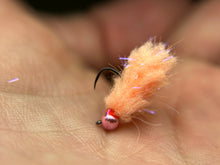 Load image into Gallery viewer, UV Electric Mop