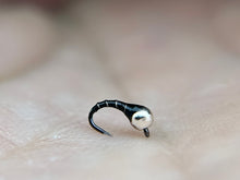 Load image into Gallery viewer, Zebra Midge
