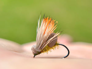 Miller’s Clueless Caddis