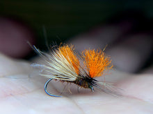 Load image into Gallery viewer, 20/20 Caddis (Duo &amp; Std.)
