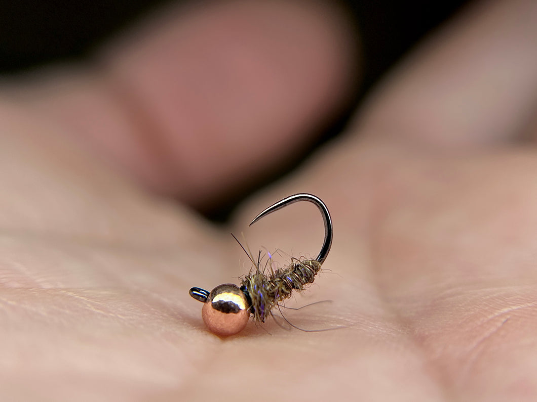 Walts Worm(Mult. Colours)