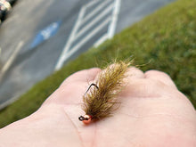 Load image into Gallery viewer, The Cdc (Big) Bug
