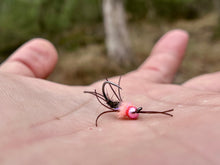 Load image into Gallery viewer, UV Egg Sucking Girdle Bug
