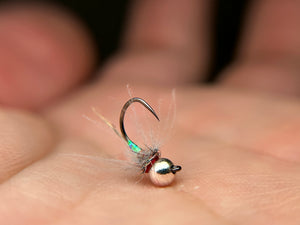 Egan’s CDC Rainbow Warrior